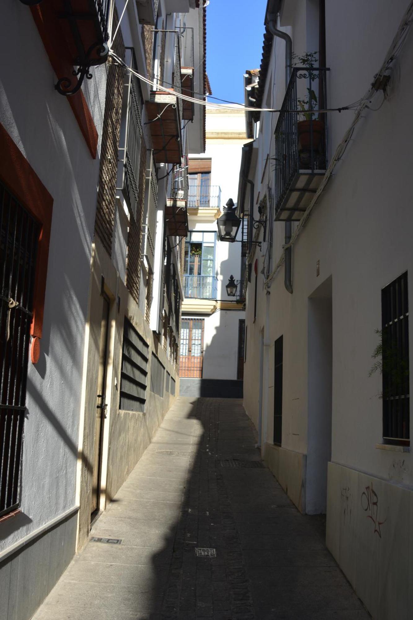 Casa-Patio Axerquia Leilighet Córdoba Eksteriør bilde